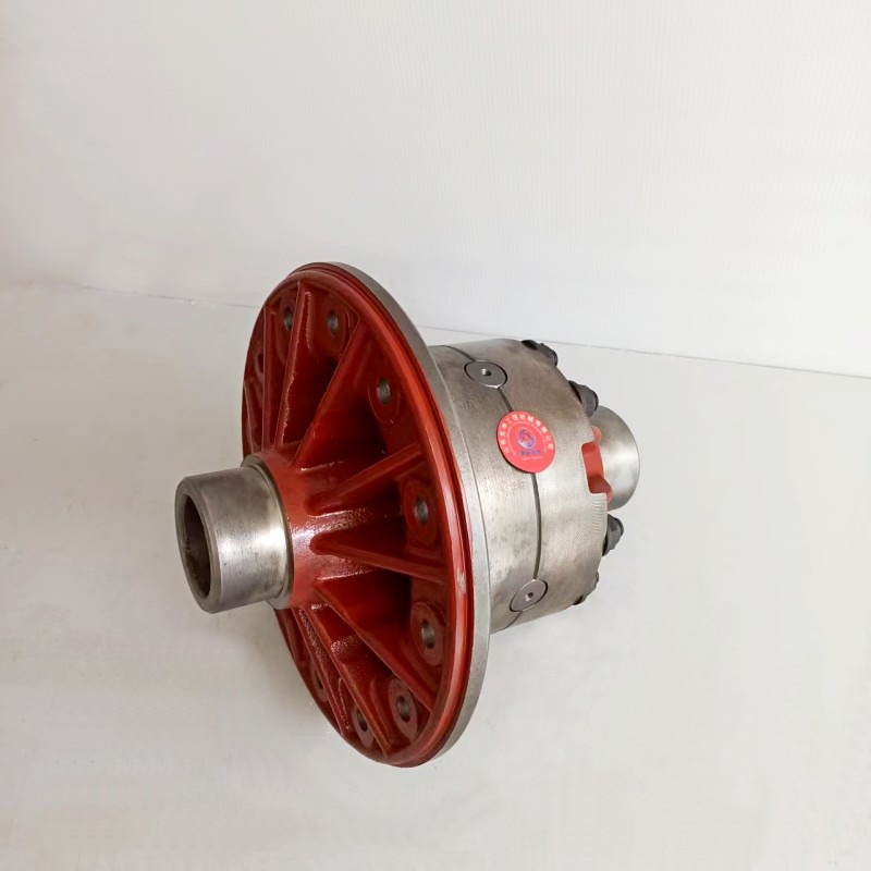  Differential Assembly XCMG