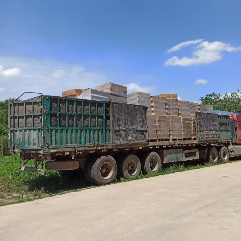 Paire d'engrenages coniques pour chargeuse sur pneus (rectification d'engrenages)