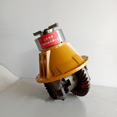 Wheel Loader Rear Main Reducer Assy